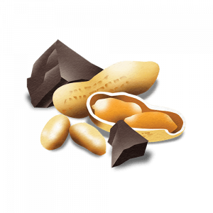 Flavor-Cue-10_Chocolate-Peanut-Butter_500x500-300x300.png