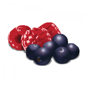 Flavor-Cue-5_Raspberry-Acai-Chunk_500x500-300x300.png