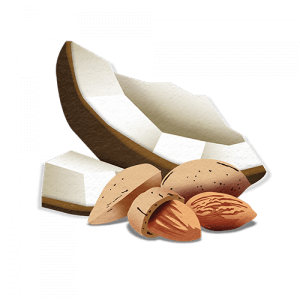 Flavor-Cue-7_Coconut-Almond-in-Chocolate_500x500-300x300.png