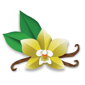 Madagascan-Vanilla-Bean-300x300.png