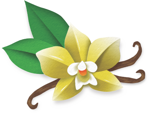 New flower-Flat.png