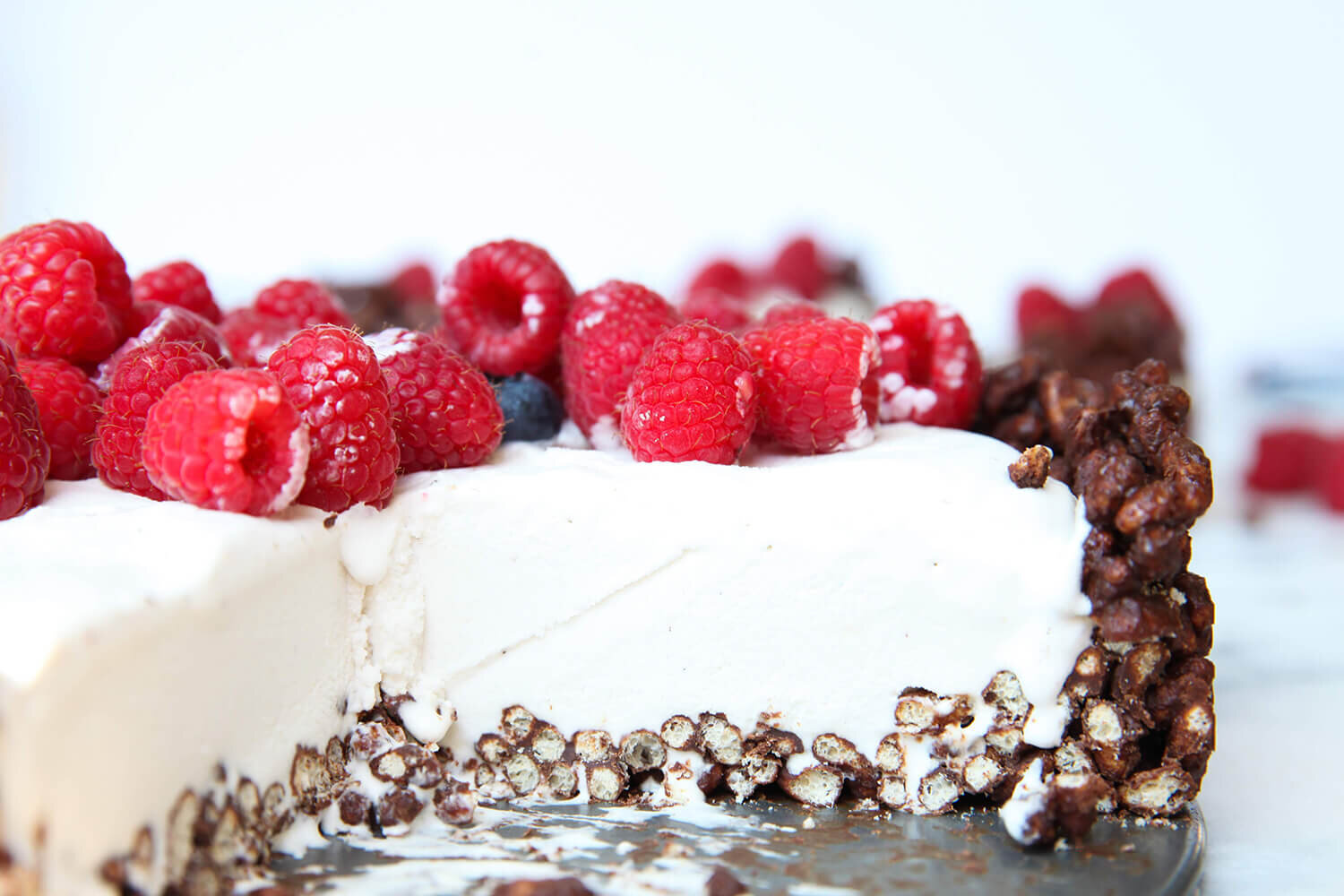 Sprouted Brown Rice Cacao Crisp Vegan Ice Cream Cake