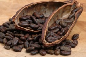 Organic Cacao Nibs